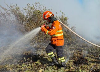 Mais de mil bombeiros participaram de ação para combater incêndios florestais no sábado