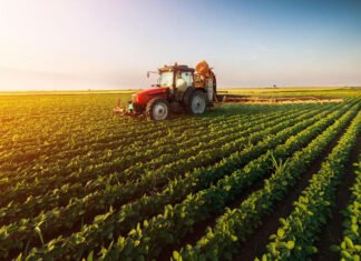 ELEIÇÕES 2024: Partidos União Brasil e PL dominam prefeituras dos municípios mais ricos do agronegócio