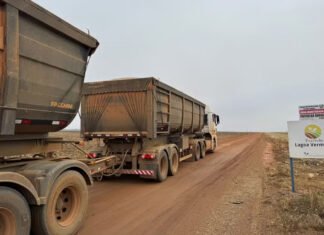 SORRISO: trabalhador morre soterrado por carga de milho enquanto realizava serviço em fazenda