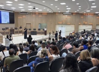 Audiência pública sobre a LOA 2027 realizada em Sinop