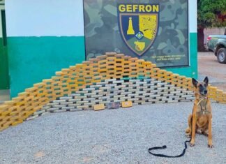 Cão farejador do Canilfron localizou a droga escondida em malas na cabine do caminhão