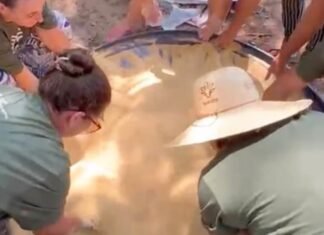 Agricultoras participam de curso de produção de ração para aves em Matupá