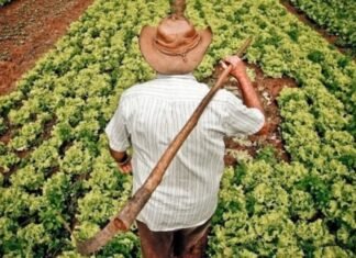 Isan Rezende, presidente da Feagro-MT