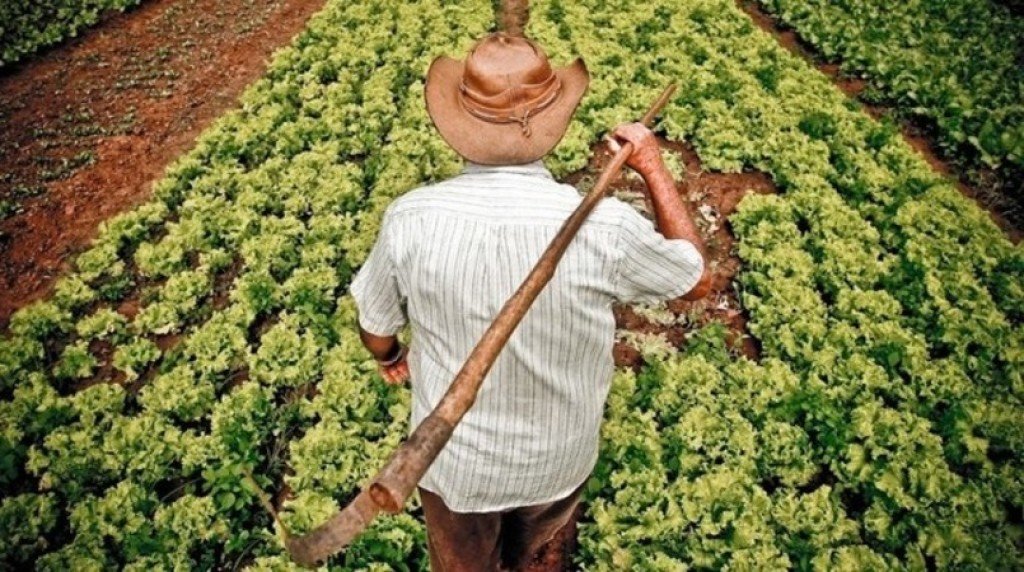 Isan Rezende, presidente da Feagro-MT