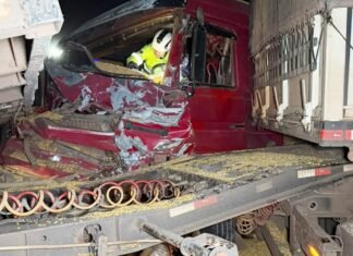 SINOP: colisão entre carretas na BR-163 deixa motorista ferido Duas carretas envolvidas em colisão na BR-163 em Sinop