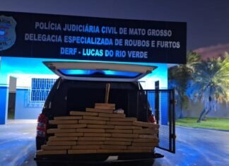 MATO GROSSO: Polícia Civil apreende 40 quilos de drogas em depósito usado por facção em Lucas do Rio Verde Tabletes de drogas apreendidos no porta-malas de viatura da Polícia Civil em Lucas do Rio Verde