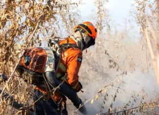 Corpo de Bombeiros combate seis incêndios florestais em municípios de Mato Grosso Bombeiros combatem incêndio florestal
