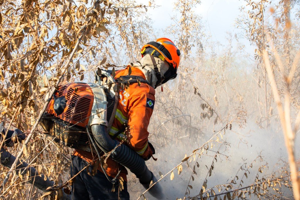 Bombeiros combatem incêndio florestal