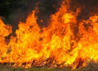 Incêndios causam prejuízos aos produtores rurais de Mato Grosso por até dez anos, alerta Corpo de Bombeiros Chamas altas consomem vegetação em área rural