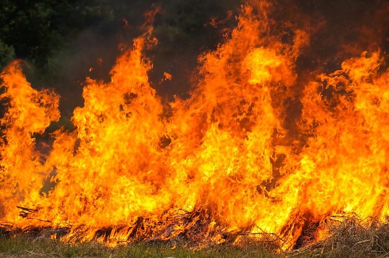 Chamas altas consomem vegetação em área rural