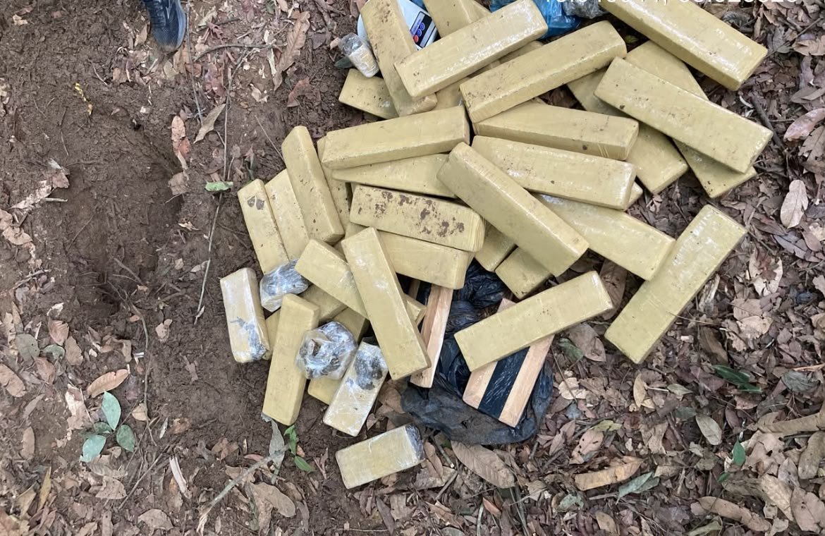 Material apreendido pela Polícia Civil em área de mata no bairro Tessele Júnior
