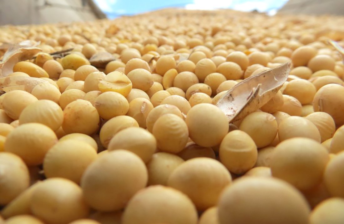 Plantio de soja em lavoura de Mato Grosso