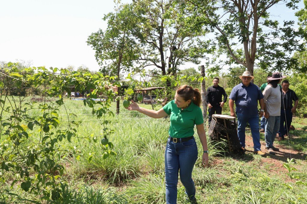 Produtor rural em propriedade com cultivo diversificado em Várzea Grande