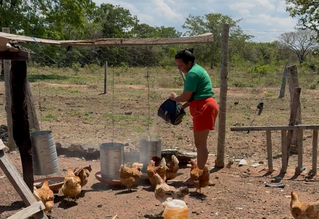 Mulher com camiseta verde alimenta galinhas em propriedade rural
