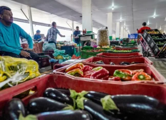 Campanha busca engajamento para reduzir desperdício de alimento
