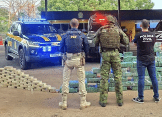 MATO GROSSO: polícia apreende 550 tabletes de pasta base de cocaína em rodovia de Jangada Tabletes de pasta base de cocaína apreendidos pela polícia em Jangada